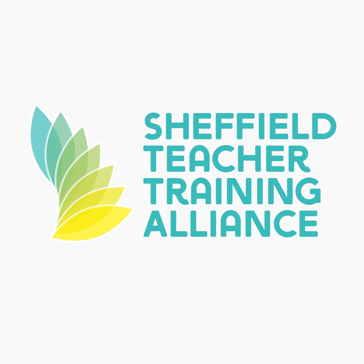STTA logo