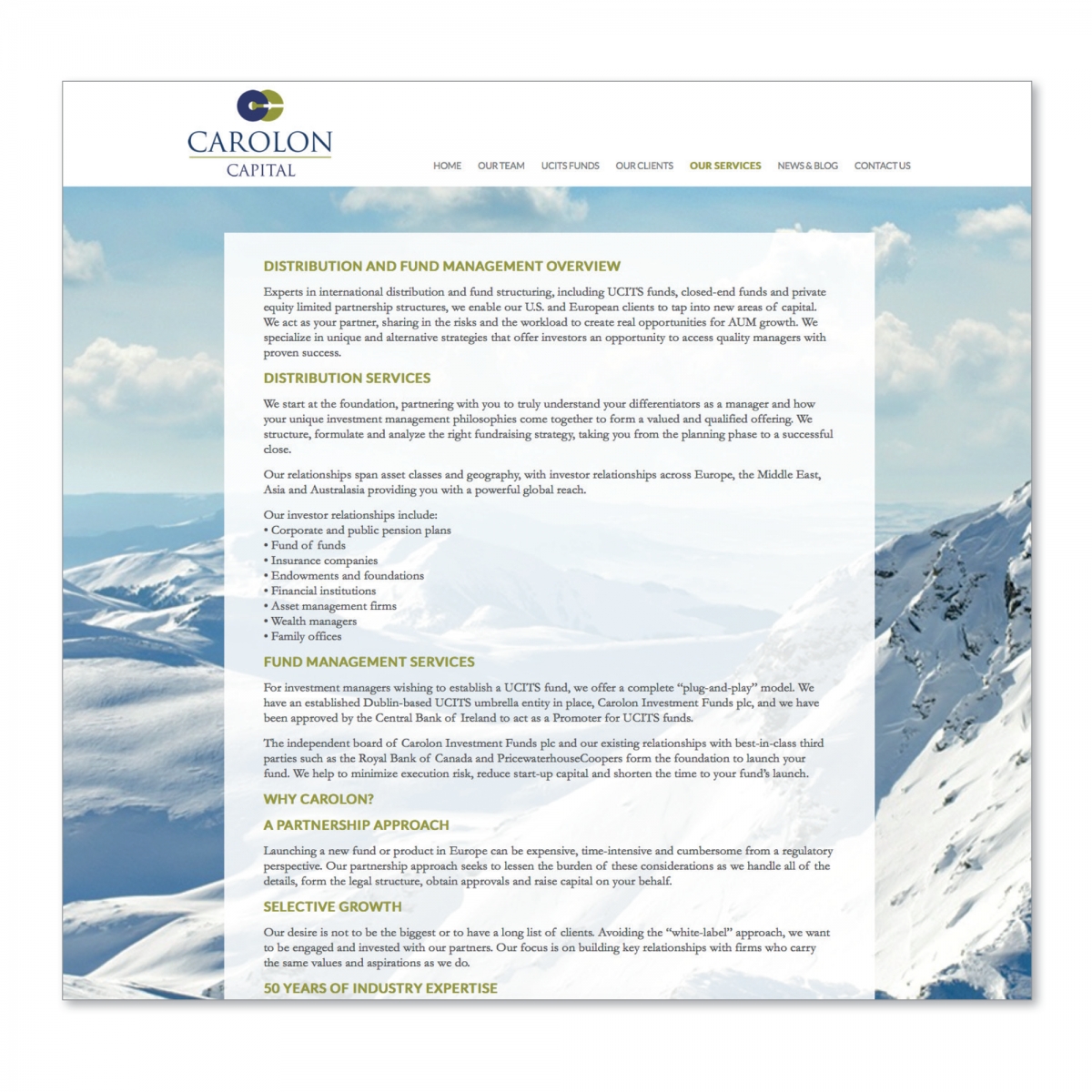 Concept, design and build of website - Our Services page