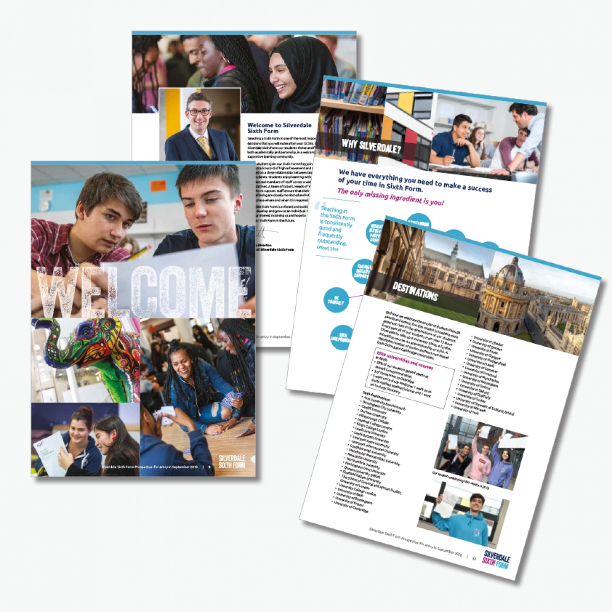 48 page prospectus - about section