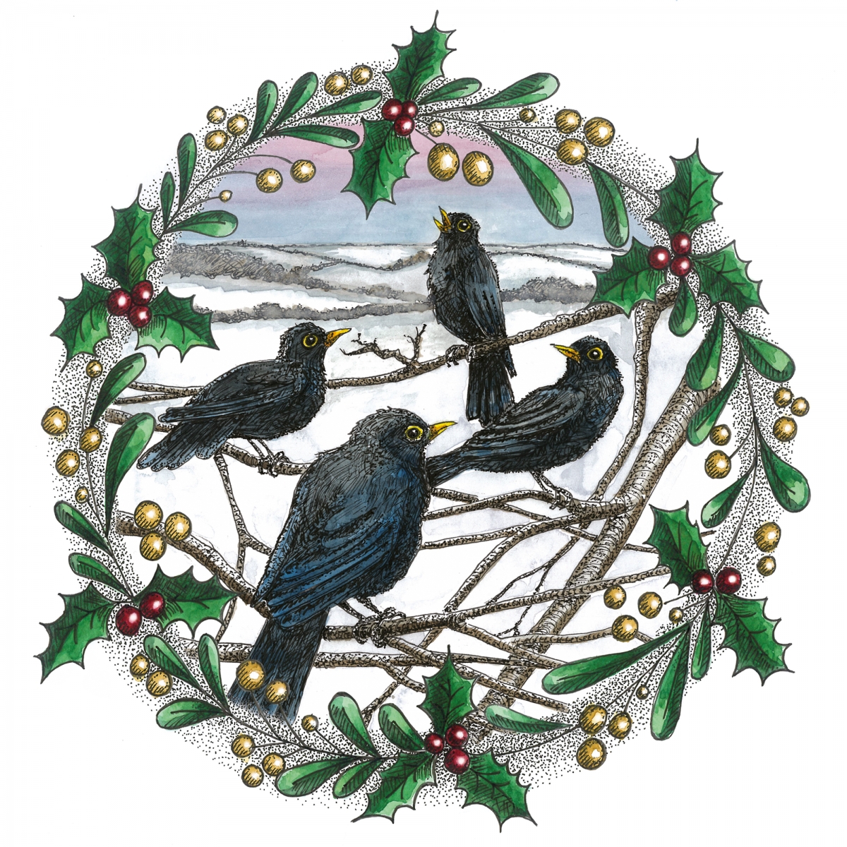 Four Colly Birds - watercolour with pen and ink