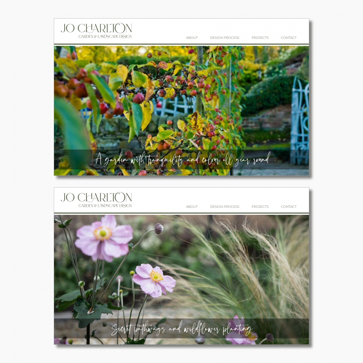 Home page with carousel of case study gardens