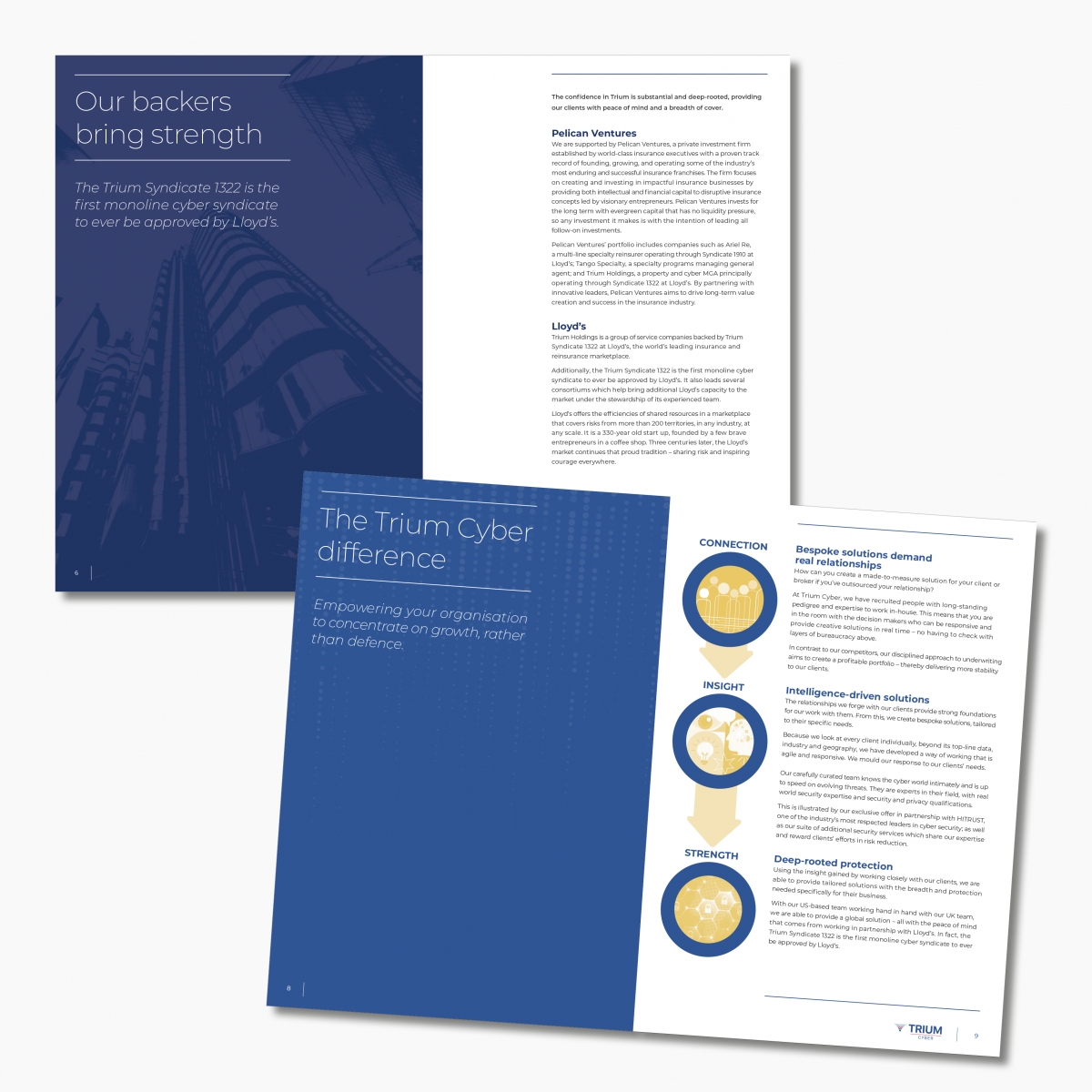 12pp corporate brochure inside pages